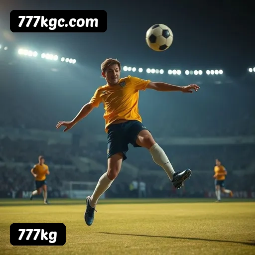 Níveis do programa VIP da 777kg